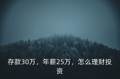 存款30萬，年薪25萬，怎么理財投資