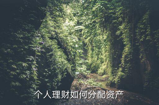 個(gè)人理財(cái)如何分配資產(chǎn)