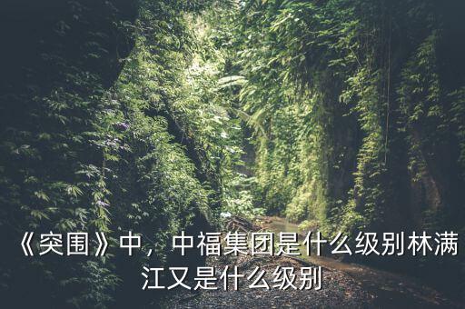 袁庚是什么級(jí)別,中福集團(tuán)是什么級(jí)別