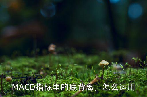 MACD指標里的底背離，怎么運用