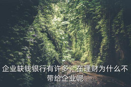 企業(yè)缺錢銀行有許多，在理財為什么不帶給企業(yè)呢