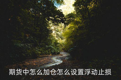 浮動止盈怎么設(shè)置,期貨中怎么加倉