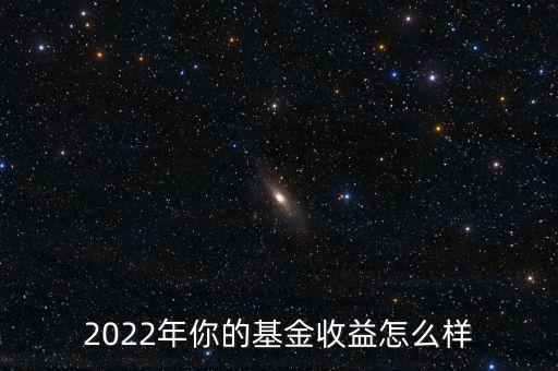 2022年你的基金收益怎么樣