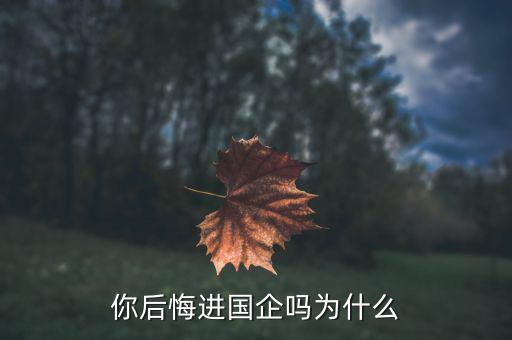 你后悔進國企嗎為什么