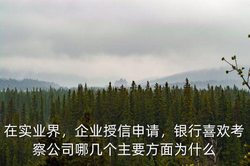 在實業(yè)界，企業(yè)授信申請，銀行喜歡考察公司哪幾個主要方面為什么