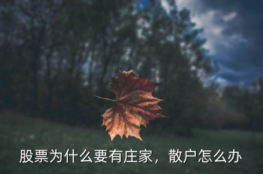 股票為什么要有莊家，散戶怎么辦