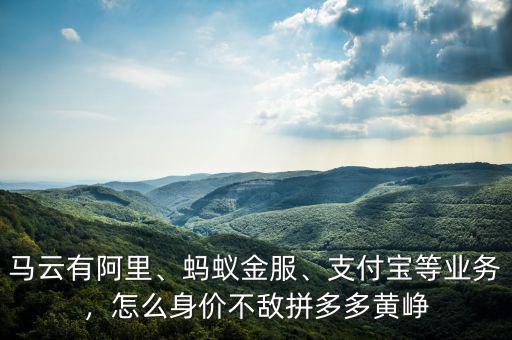 馬云有阿里、螞蟻金服、支付寶等業(yè)務，怎么身價不敵拼多多黃崢