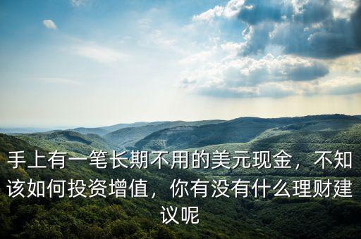 手上有一筆長(zhǎng)期不用的美元現(xiàn)金，不知該如何投資增值，你有沒(méi)有什么理財(cái)建議呢