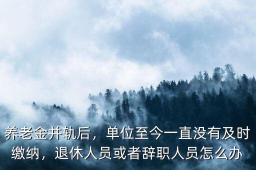 養(yǎng)老金并軌后，單位至今一直沒有及時(shí)繳納，退休人員或者辭職人員怎么辦