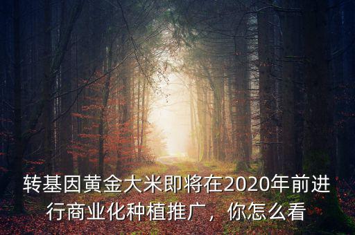 轉(zhuǎn)基因黃金大米即將在2020年前進(jìn)行商業(yè)化種植推廣，你怎么看