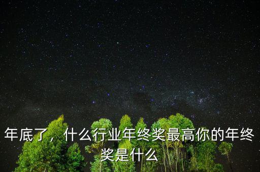 年底了，什么行業(yè)年終獎最高你的年終獎是什么