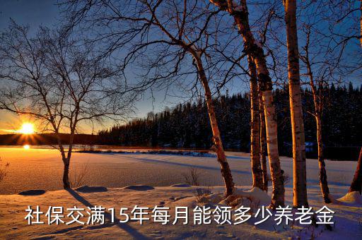 社保交滿(mǎn)15年每月能領(lǐng)多少養(yǎng)老金