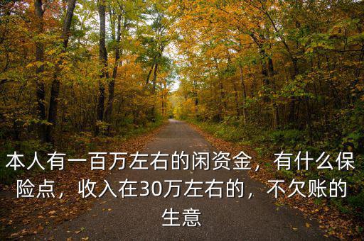 本人有一百萬左右的閑資金，有什么保險點(diǎn)，收入在30萬左右的，不欠賬的生意