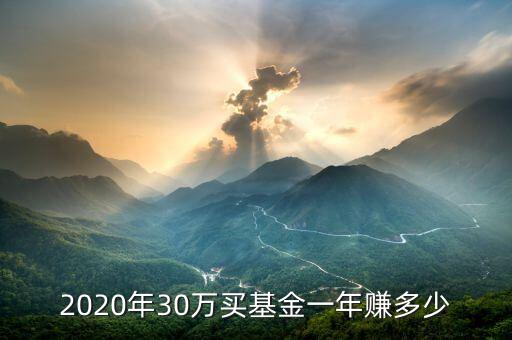 2020年30萬(wàn)買(mǎi)基金一年賺多少