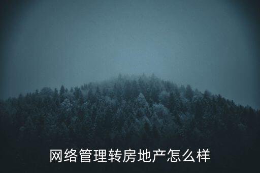 網(wǎng)絡(luò)管理轉(zhuǎn)房地產(chǎn)怎么樣