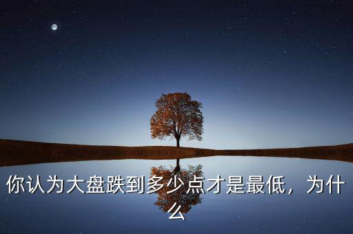 你認(rèn)為大盤跌到多少點(diǎn)才是最低，為什么