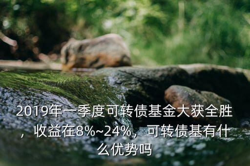 2019年一季度可轉(zhuǎn)債基金大獲全勝，收益在8%~24%，可轉(zhuǎn)債基有什么優(yōu)勢(shì)嗎