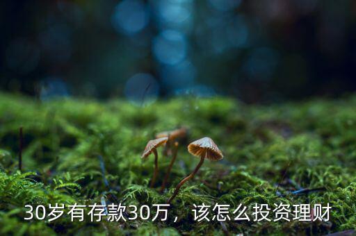 30歲有存款30萬，該怎么投資理財(cái)