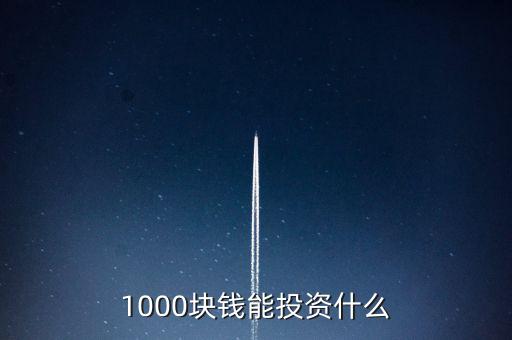 1000塊錢(qián)能投資什么