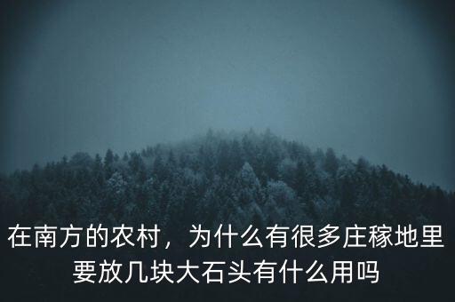 在南方的農(nóng)村，為什么有很多莊稼地里要放幾塊大石頭有什么用嗎