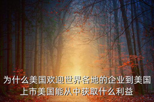 為什么美國歡迎世界各地的企業(yè)到美國上市美國能從中獲取什么利益