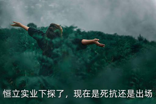 恒立實(shí)業(yè)下探了，現(xiàn)在是死抗還是出場