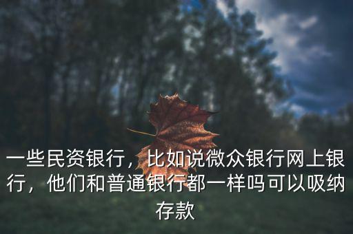 一些民資銀行，比如說微眾銀行網(wǎng)上銀行，他們和普通銀行都一樣嗎可以吸納存款