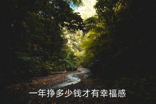 一年掙多少錢(qián)才有幸福感