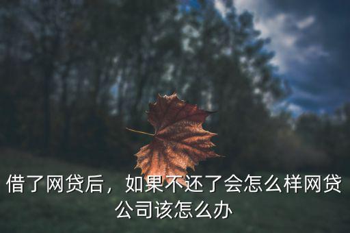 借了網(wǎng)貸后，如果不還了會(huì)怎么樣網(wǎng)貸公司該怎么辦