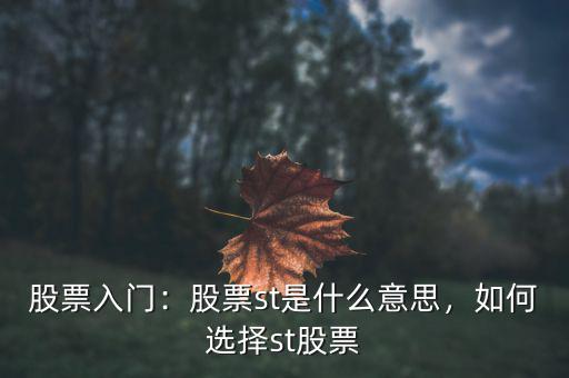 股票入門：股票st是什么意思，如何選擇st股票