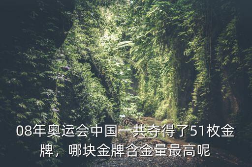 08年奧運會中國一共奪得了51枚金牌，哪塊金牌含金量最高呢