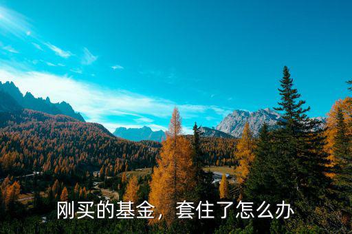 剛買(mǎi)的基金，套住了怎么辦