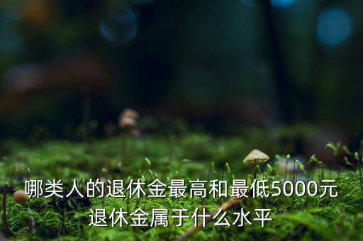 哪類人的退休金最高和最低5000元退休金屬于什么水平