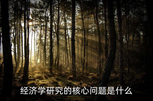 經(jīng)濟學研究的核心問題是什么