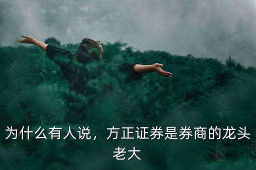 為什么有人說，方正證券是券商的龍頭老大