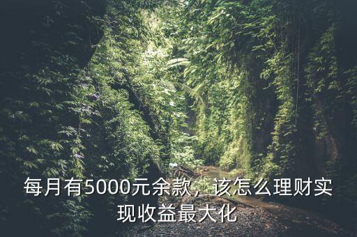 每月有5000元余款，該怎么理財實現(xiàn)收益最大化