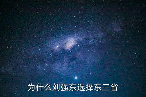 政府為什么支援京東,為什么劉強(qiáng)東選擇東三省