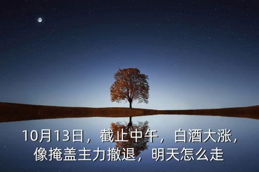 10月13日，截止中午，白酒大漲，像掩蓋主力撤退，明天怎么走