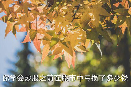 你學(xué)會炒股之前在股市中虧損了多少錢