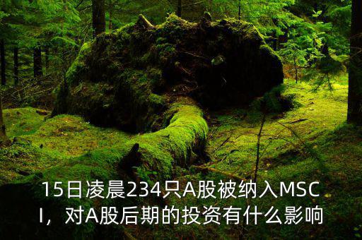 15日凌晨234只A股被納入MSCI，對A股后期的投資有什么影響