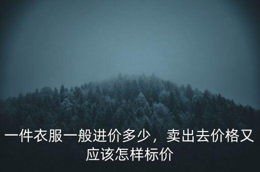 一件衣服一般進價多少，賣出去價格又應(yīng)該怎樣標價