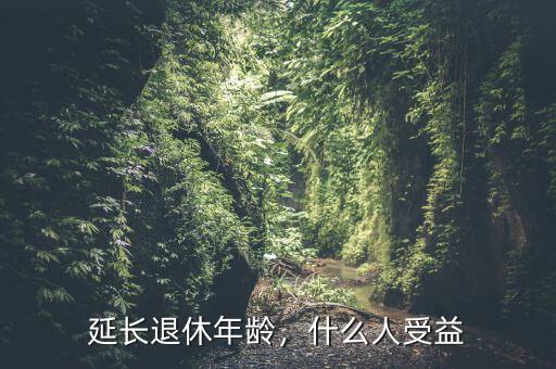 延長(zhǎng)退休年齡，什么人受益