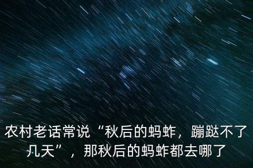 農(nóng)村老話常說“秋后的螞蚱，蹦跶不了幾天”，那秋后的螞蚱都去哪了