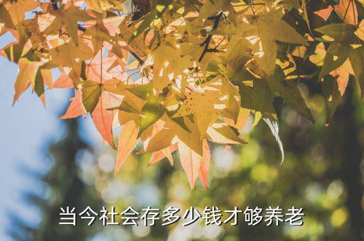 當(dāng)今社會存多少錢才夠養(yǎng)老