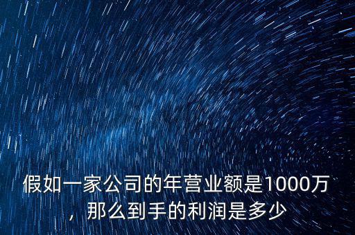 年收入1000萬的公司市值大概多少,年利潤(rùn)100萬公司估值多少