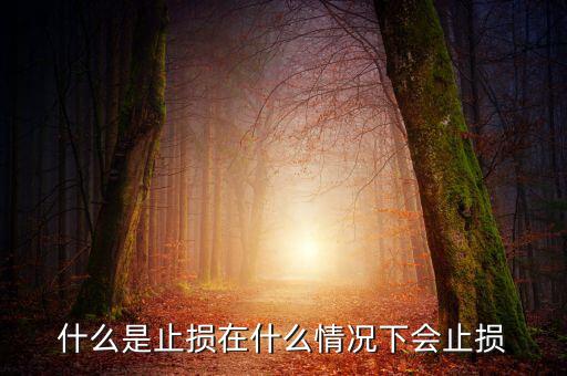 殺跌止損什么意思,在什么情況下會(huì)止損