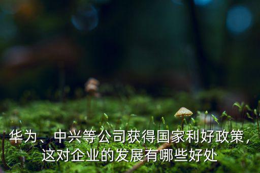 華為、中興等公司獲得國家利好政策，這對企業(yè)的發(fā)展有哪些好處