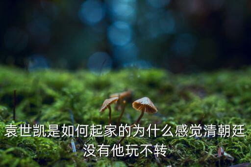 袁世凱是如何起家的為什么感覺清朝廷沒有他玩不轉(zhuǎn)