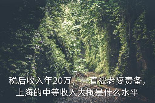 稅后收入年20萬(wàn)，一直被老婆責(zé)備，上海的中等收入大概是什么水平