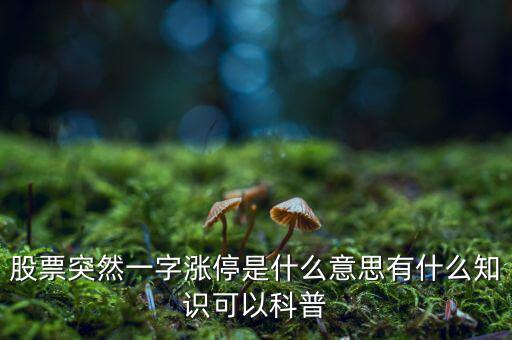 股票突然一字漲停是什么意思有什么知識(shí)可以科普